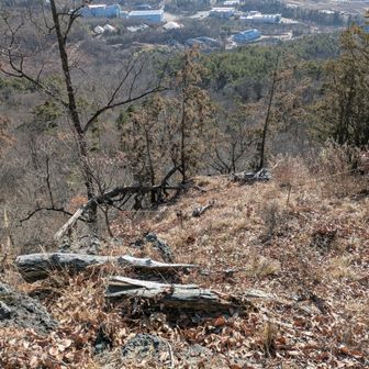 ばくち岩の上端
