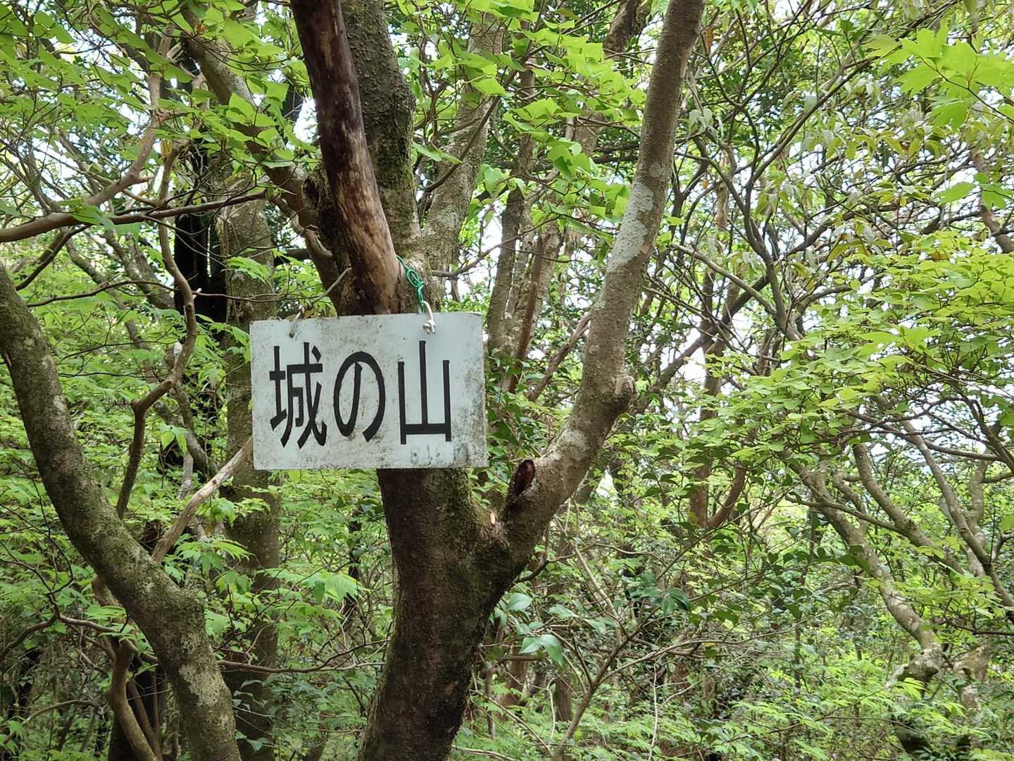 城の山着。