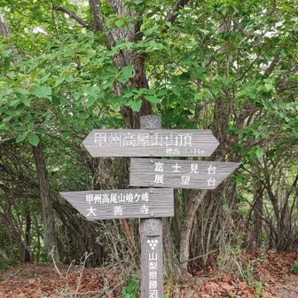 高尾山剣ヶ峰　見晴らし無し　休憩は東の方が