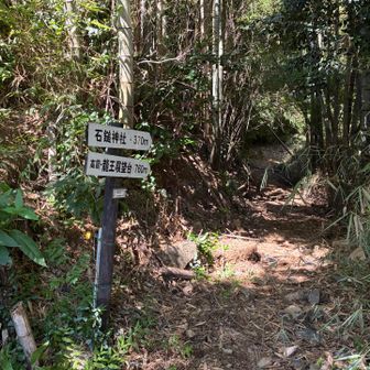 登山口に到着。
ここからの舗装道路が長いのじゃ。
o(｀ω´ )o