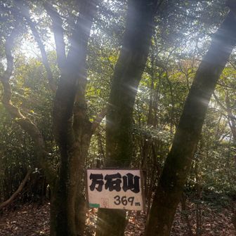 万石山　ここで軽くお昼にしました
眺望はないけどベンチあり