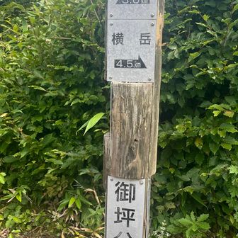 途中にポツンと