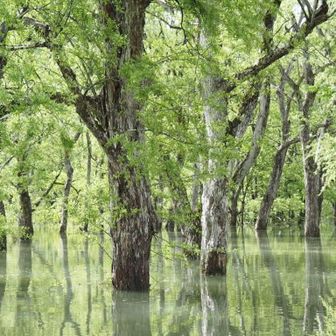 ＊まっしろん＊