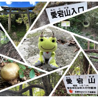 最後は愛宕山
(🥾登山口はどこ? 迷いました😅)
