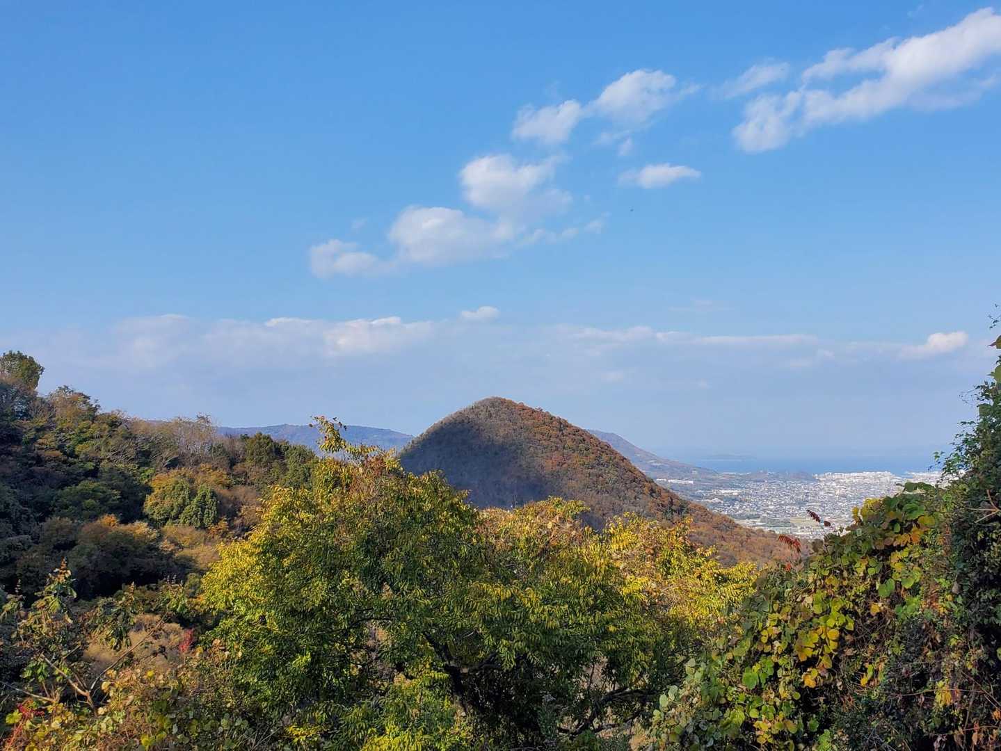 堂山北嶺 往復コースの写真