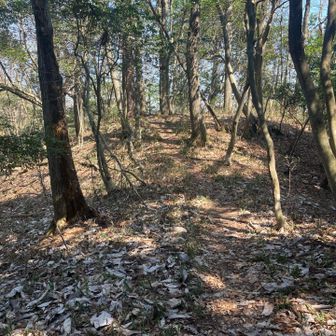 再びＹ字の分岐点のところへと戻ります。
45分が経過。