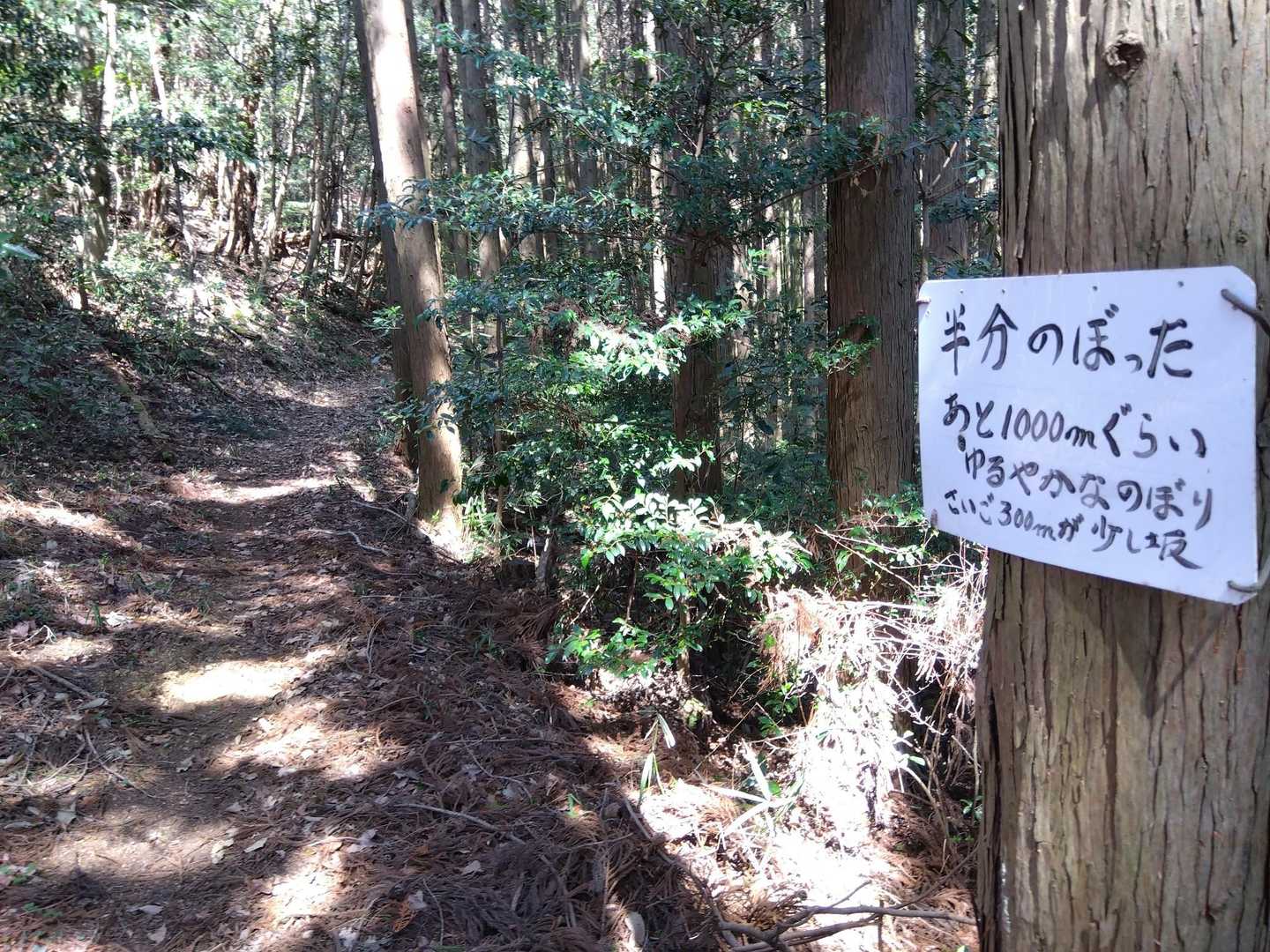 あと半分ほど。ここから緩やかに。