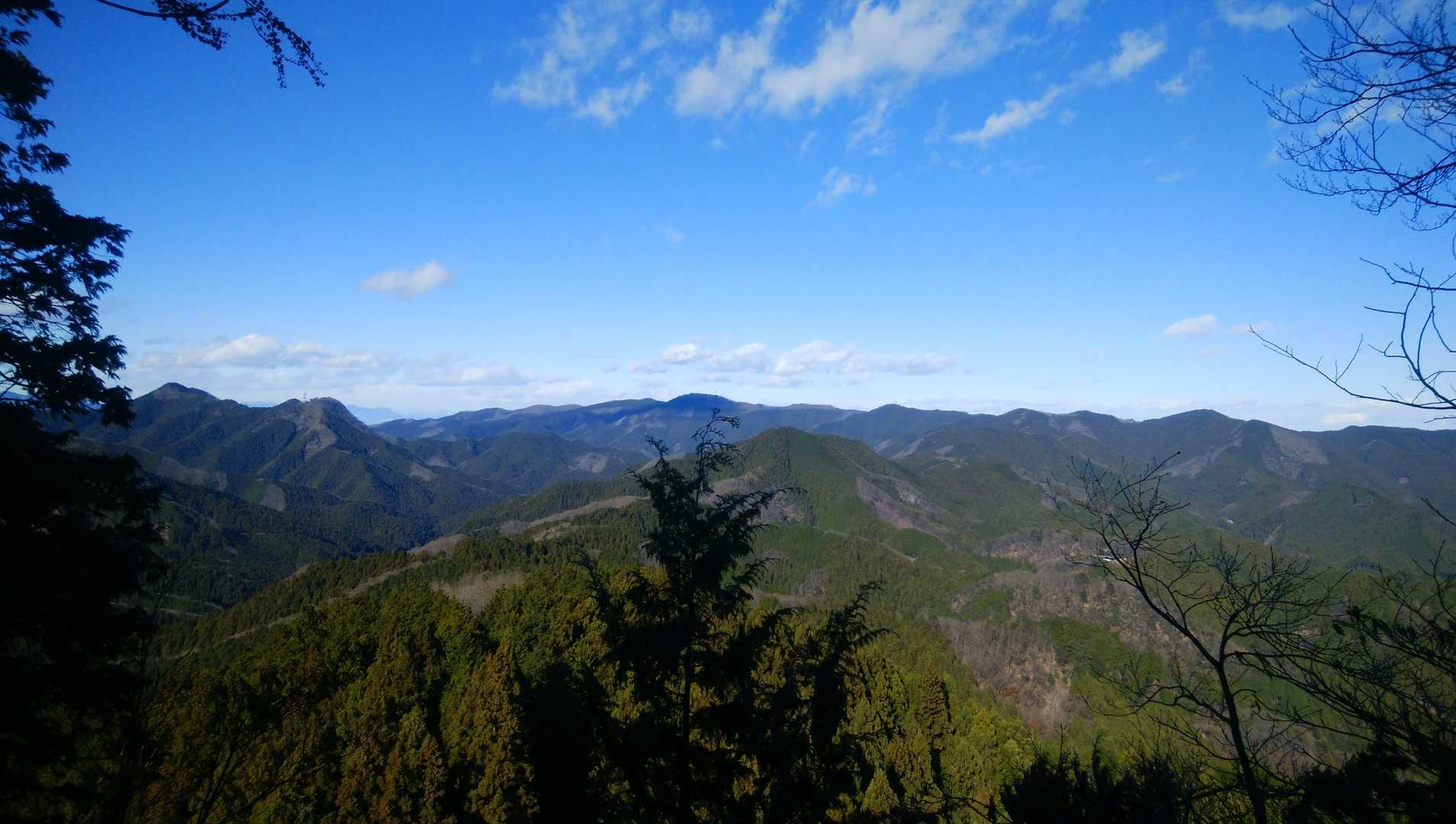 伊豆ヶ岳登山口-ツガの木台-長岩峠-伊豆ヶ岳 往復コースの写真