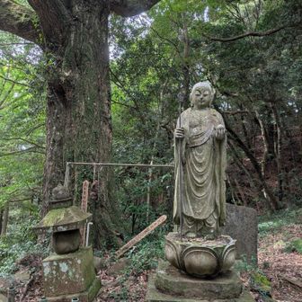 薬師如来?