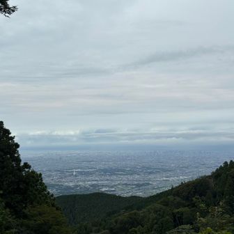 写真じゃ分かりにくいけど