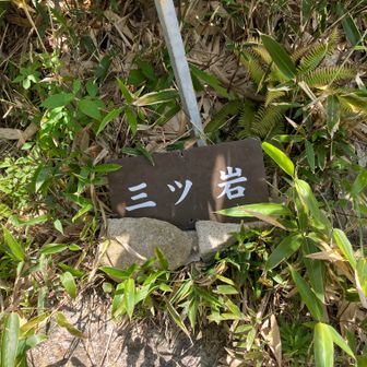 24、白草山へ⑳