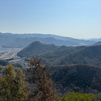 こちらは開けている