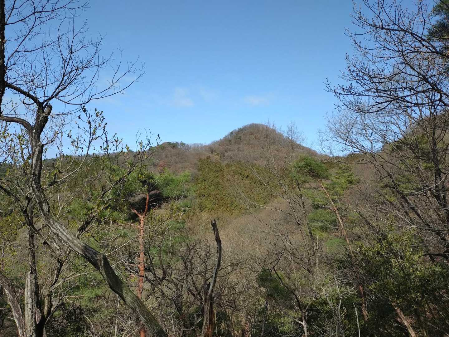 来週のシフトの休み火・土