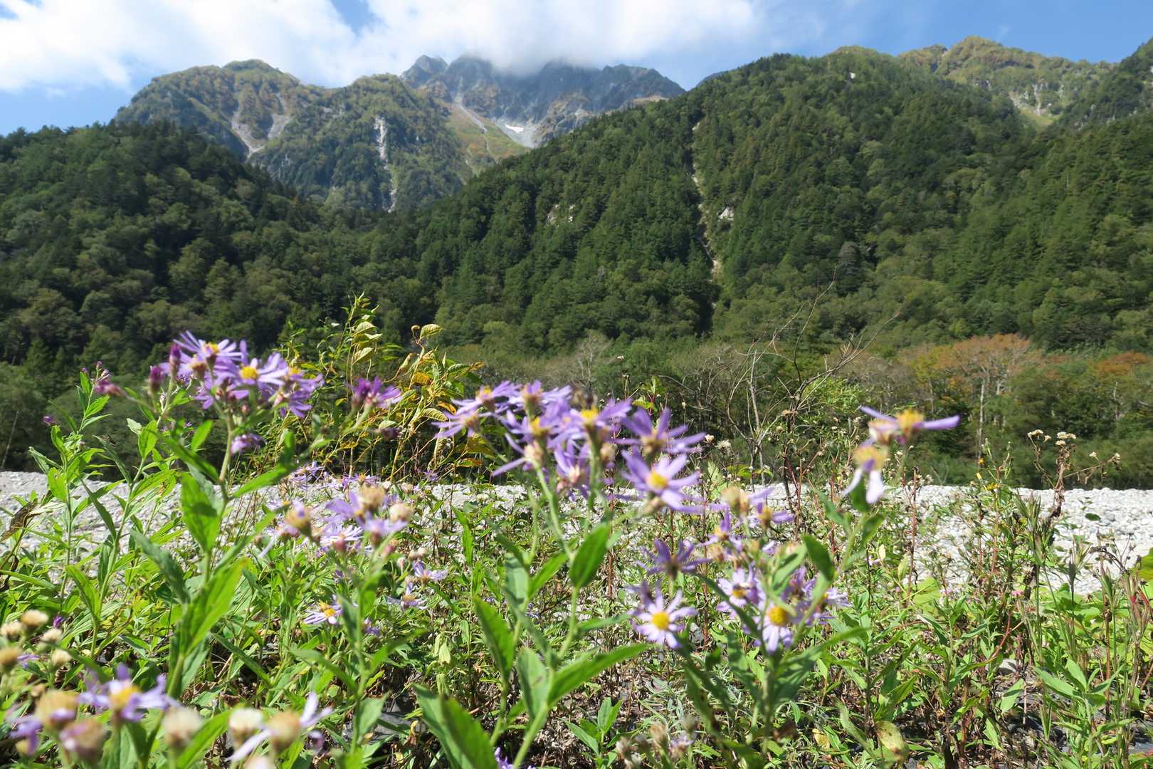 【縦走】表銀座（中房温泉・上高地）の写真