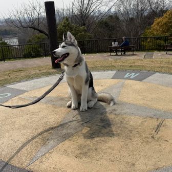 鶴見新山山頂です