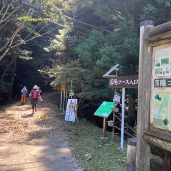下の駐車場🅿️へ降りてきて… 森林セラピー基地篠栗　代表的なｺｰｽ    落葉🍂ｺｰｽ入口🪧… ｳｯﾄﾞﾁｯﾌﾟの敷かれた道を歩いてゆく🚶🚶‍♂️💦