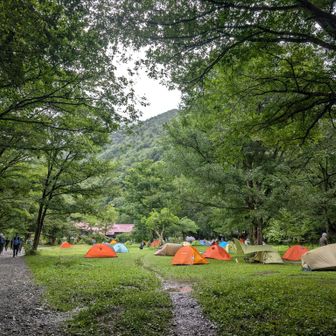 徳沢テント場