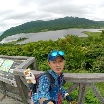 ミッキーバード