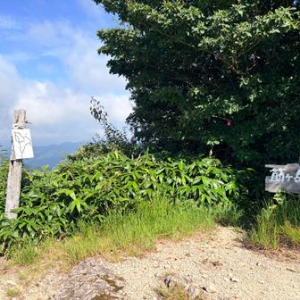 途中でへばってしまい、ヘロヘロになりながら到着❗️
弟見山まで行く予定だったけど、今日はここまで‼️