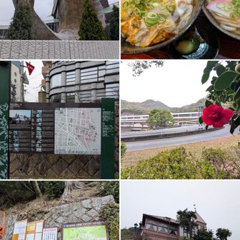 メリケンパークの魚。

他人丼。

神戸北野異人館通り。

椿が示す。新神戸駅。
道に迷っただけ。