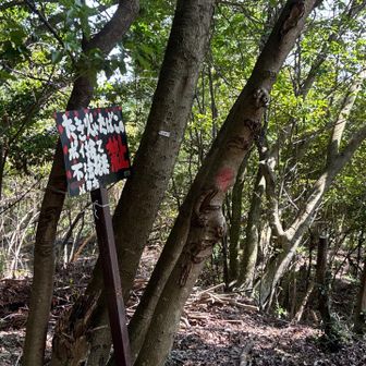 石畳の道からこの看板の場所で左⬅️の細い土道に入ります