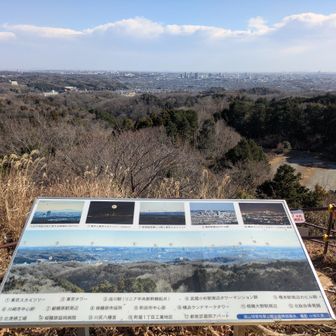 都心を一望、龍籠展望台