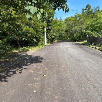 アスファルトを進む