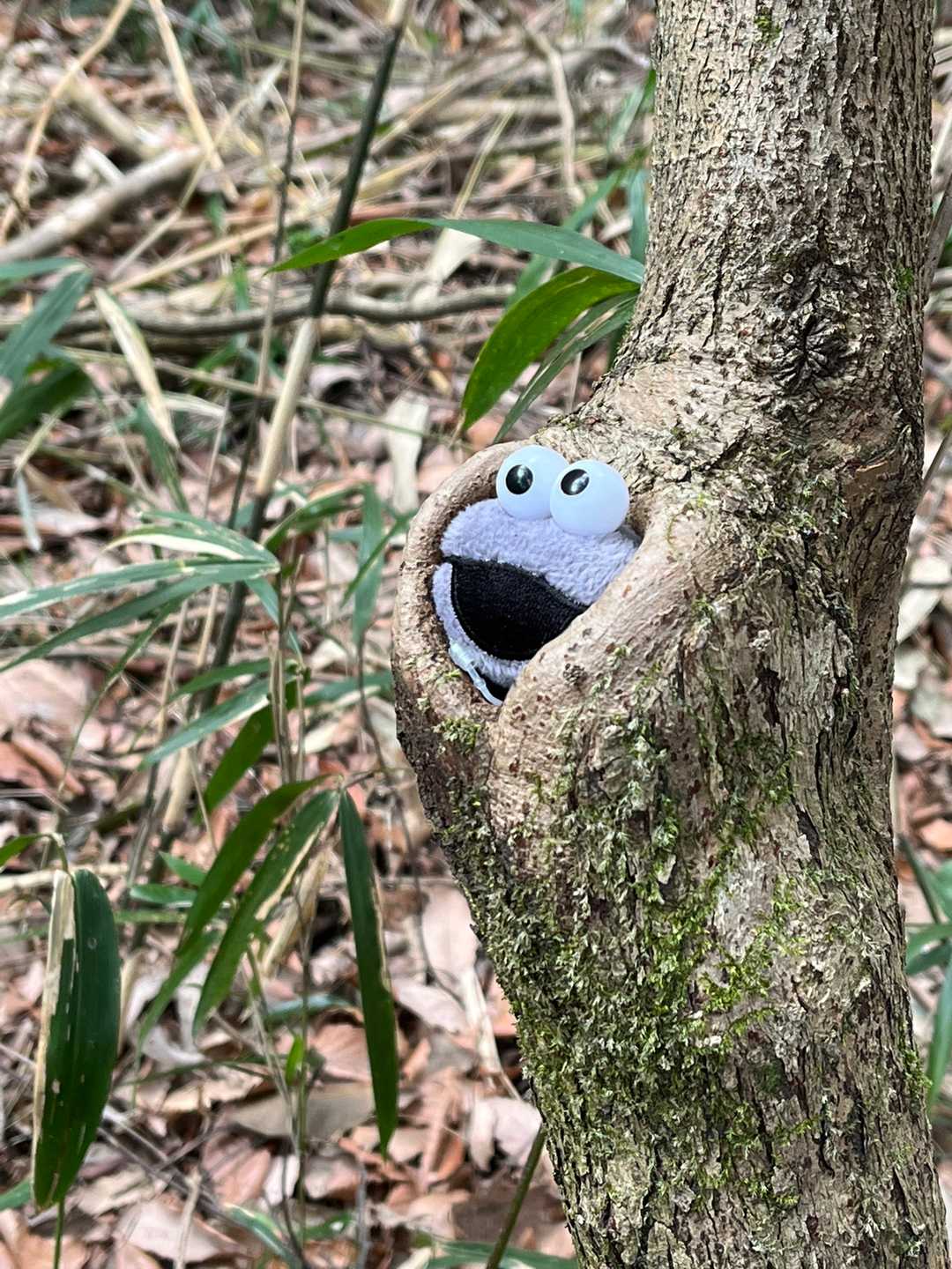 えー可愛い❤️