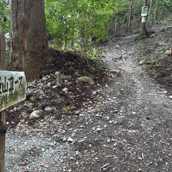 登ります