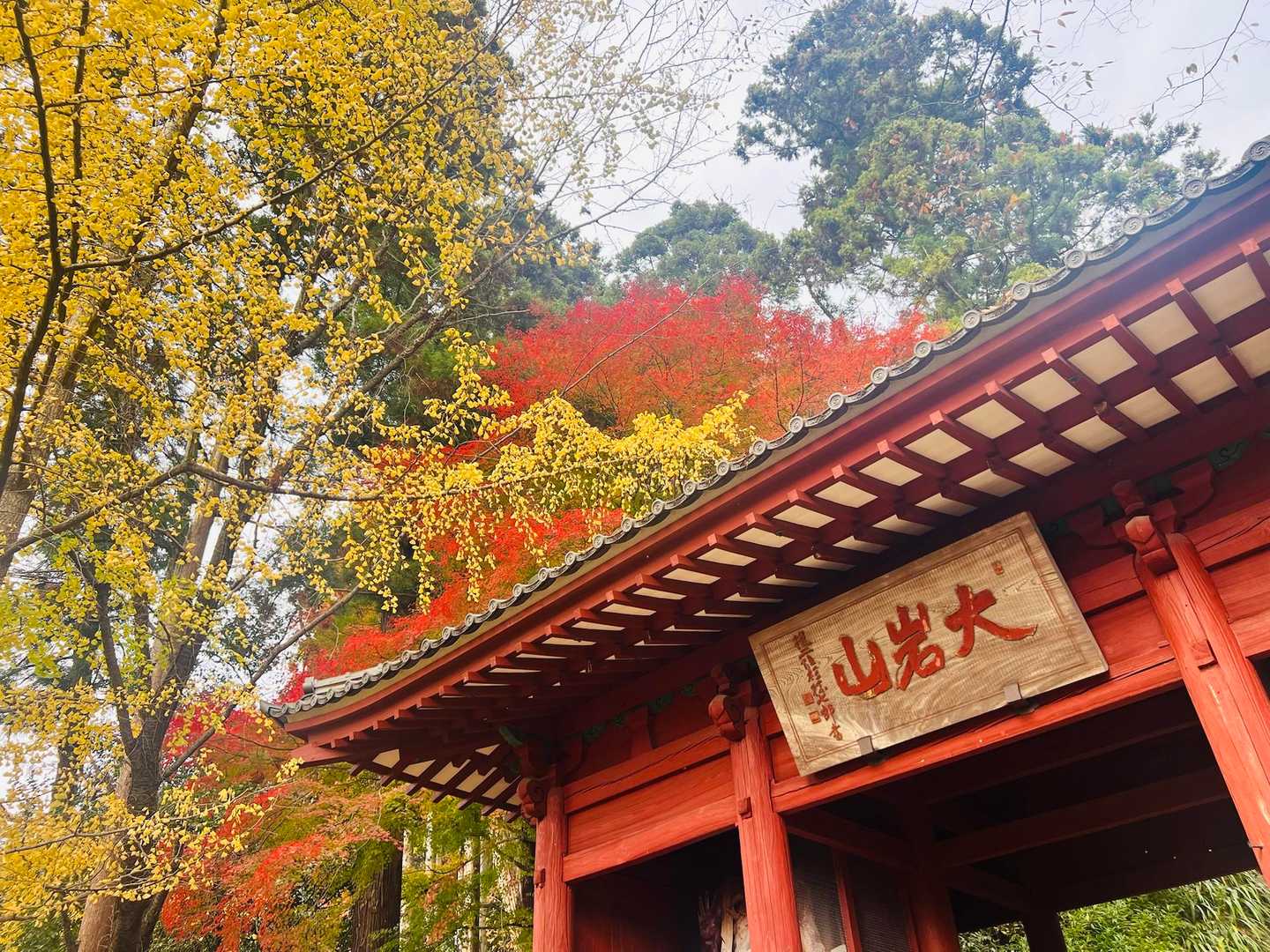 行道山-大岩山 周回コースの写真