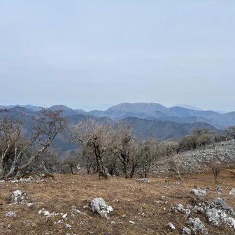 写真では上手く伝わらなくて残念！
山々が見える景色はとても綺麗でした✨
休憩しやすそうな場所多めです☕️