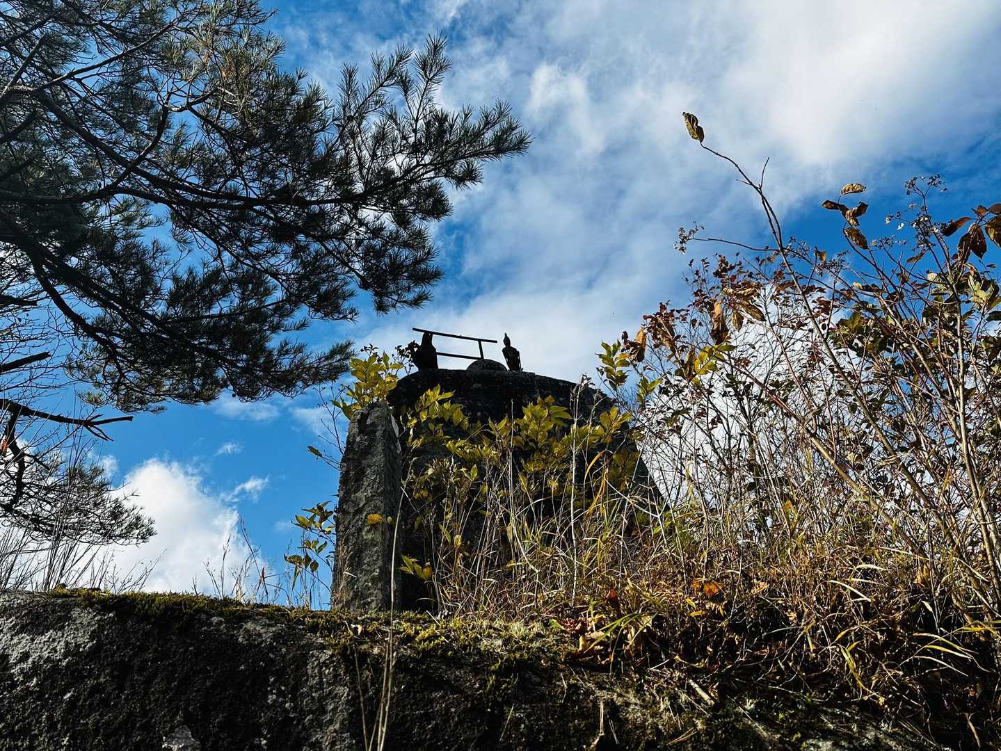 糠塚登山口-蓬田岳 往復コースの写真
