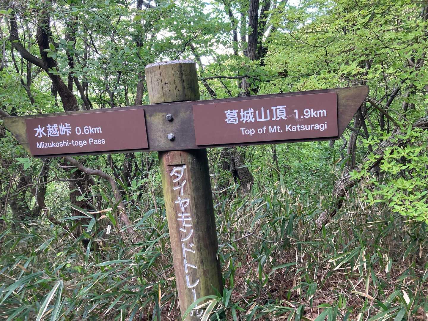 どんどん行きます💎
