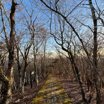 間違ってこっちの方向に進んでしまい、時間のロス。