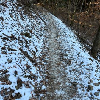ここら辺が一番雪が残っていたところ。