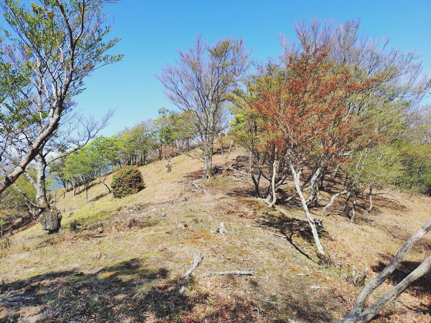 いろんな表情があるから楽しい