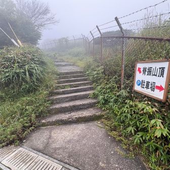 ここから