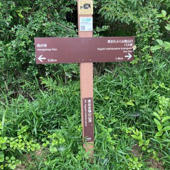 無事カエル君が、帰り道のほうを向いちゃってる