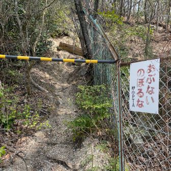 はい、登りました😅鴻巣山回収⛰️
登ってすぐ右に行けば山道➡️