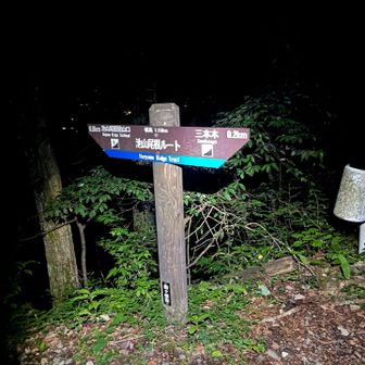 もうすっかり日も暮れて…
この池山尾根ルートはめっちゃ長い😂