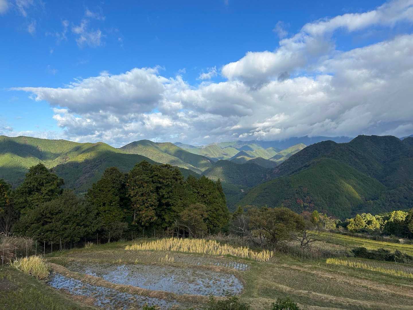 熊野古道 中辺路（滝尻王子〜熊野本宮大社）の写真