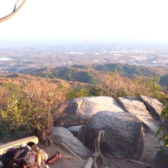 ここは明るく、絶好のおやつタイム。