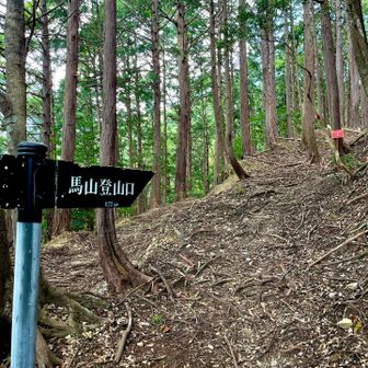 案内板のおかげて登山口にようやく辿り着く💦