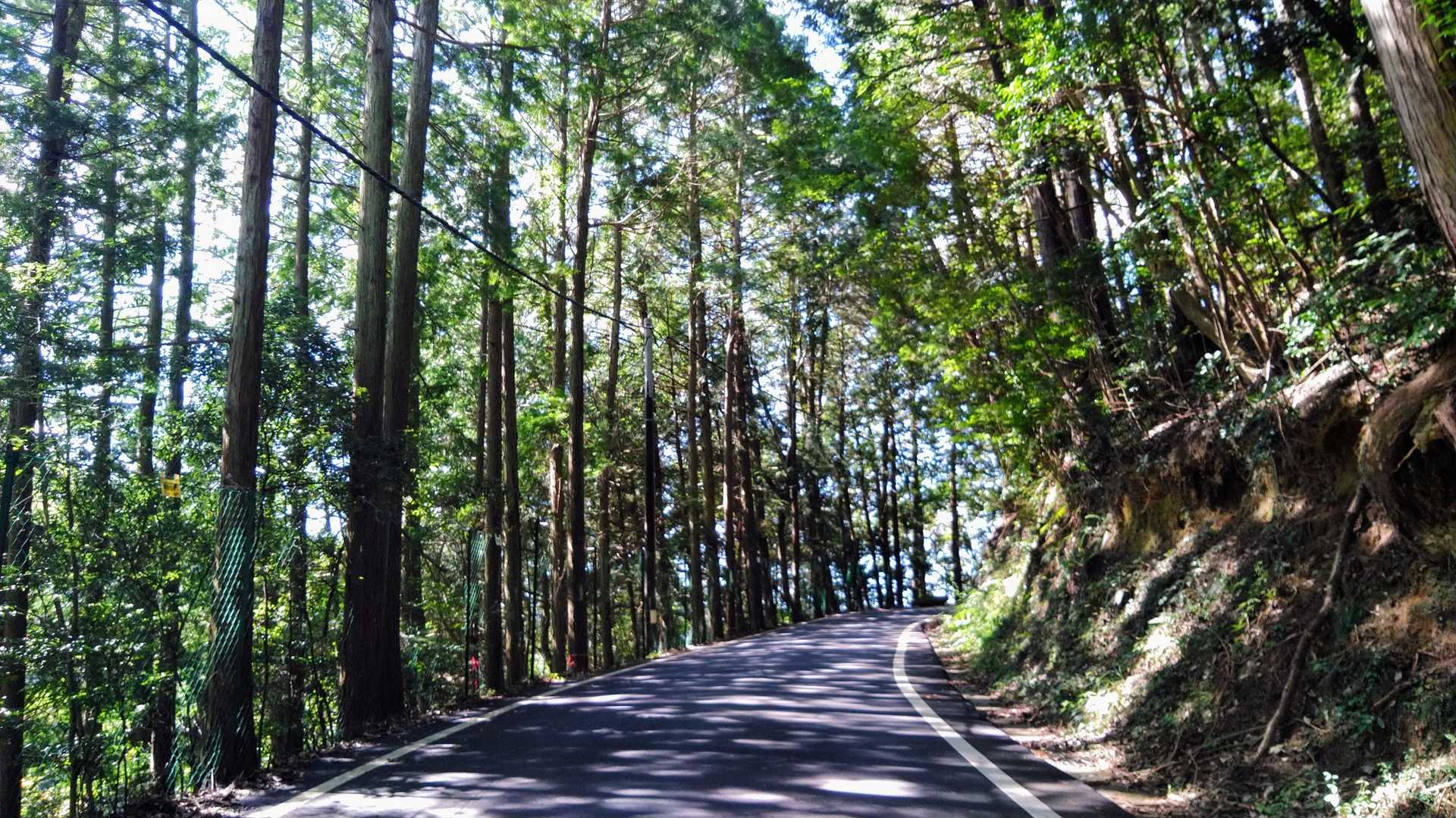 暫くは車道歩き