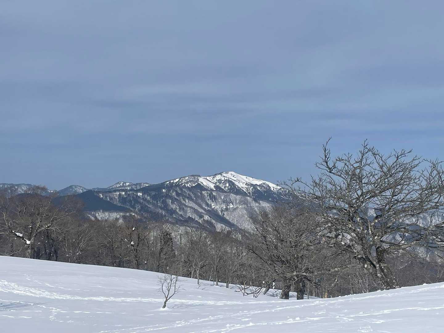 氷ノ山