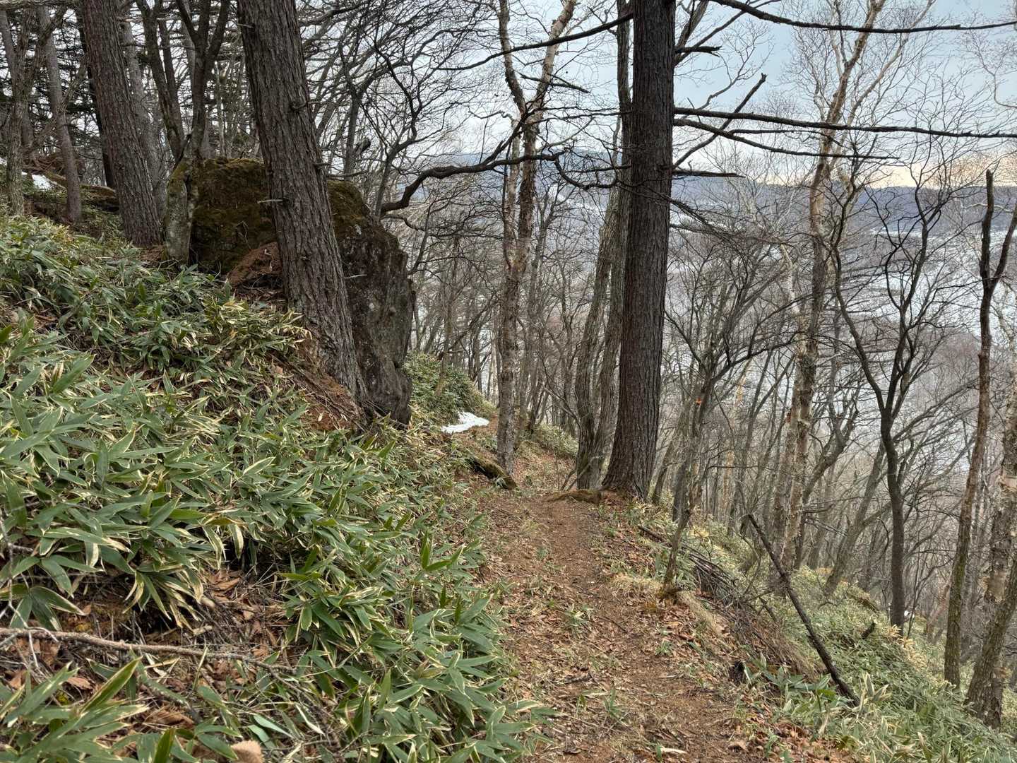 桟敷山-小桟敷山 周回コースの写真