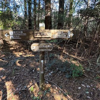 すぐに大久保山山頂着