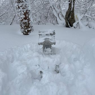 先行者に雪を払って頂きました
取り敢えず娘の合格祈願をします