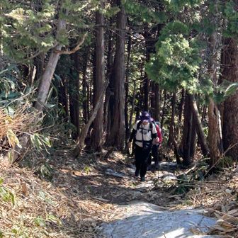 ちょっとだけ急登