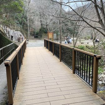 親水広場まで戻ってきました
結局岩場は発見できず…